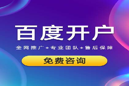竞价广告的投放策略与效果评估——以一成功企业为例